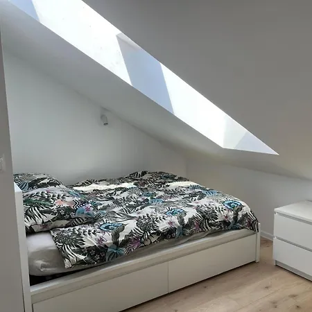 Franciszkanska 3 *